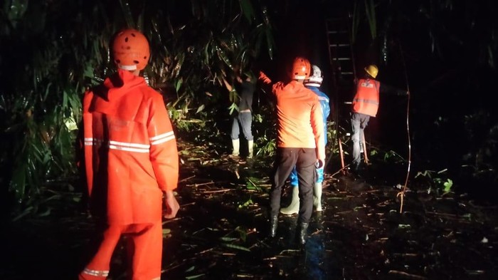 Pohon tumbang tutup akses Ciseeng-Rumpin (dok.istimewa)