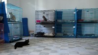 Jumlah korban tewas di Lebanon melampaui 3.000 orang pada Senin (4/11) dan lebih dari 10.000 orang terluka dalam lebih dari setahun pertempuran.