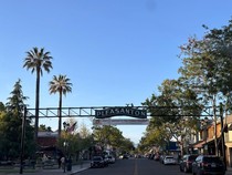 Warga Bali di AS Ceritakan Suasana Kampung Kamala Harris Jelang Pilpres