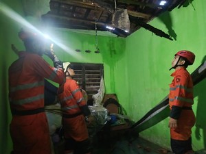 Longsor-Pohon Tumbang di Bogor gegara Hujan Lebat, Tak Ada Korban