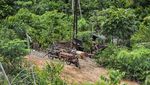Tambang Minyak Ilegal Menjamur di Kawasan Konsesi Hutan Harapan