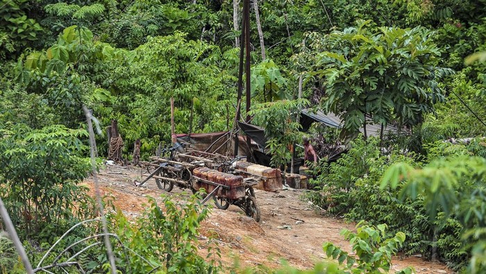 Tambang minyak ilegal di hutan restorasi Petugas Perlindungan Hutan Harapan mengecek jerigen berisi minyak di kolam penampungan minyak ilegal yang masih beroperasi saat dilakukan razia di kawasan konsesi Hutan Harapan, Sumatera Selatan, Senin (4/11/2024). Pihak Hutan Harapan menyebutkan, sedikitnya 300 hektare lahan di wilayah itu telah beralih fungsi menjadi kawasan pertambangan minyak ilegal yang diperkirakan telah berlangsung sejak 2022. ANTARA FOTO/Wahdi Septiawan/YU