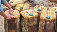 Pihak Hutan Harapan menyebutkan, sedikitnya 300 hektare lahan di wilayah itu telah beralih fungsi menjadi kawasan pertambangan minyak ilegal yang diperkirakan telah berlangsung sejak 2022. 