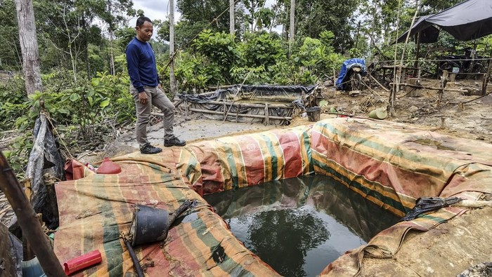Tambang minyak ilegal di hutan restorasi Petugas Perlindungan Hutan Harapan mengecek jerigen berisi minyak di kolam penampungan minyak ilegal yang masih beroperasi saat dilakukan razia di kawasan konsesi Hutan Harapan, Sumatera Selatan, Senin (4/11/2024). Pihak Hutan Harapan menyebutkan, sedikitnya 300 hektare lahan di wilayah itu telah beralih fungsi menjadi kawasan pertambangan minyak ilegal yang diperkirakan telah berlangsung sejak 2022. ANTARA FOTO/Wahdi Septiawan/YU