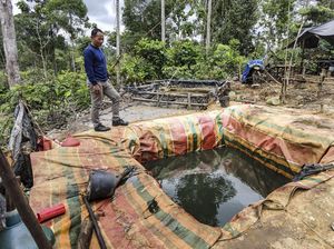 Tambang Minyak Ilegal Menjamur di Kawasan Konsesi Hutan Harapan
