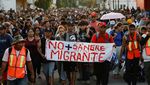3.000 Migran Berbondong Jalan Kaki ke AS Jelang Penentuan Presiden