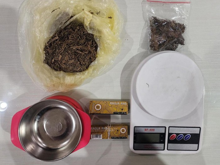 Barang bukti ganja yang disita dari pelaku
