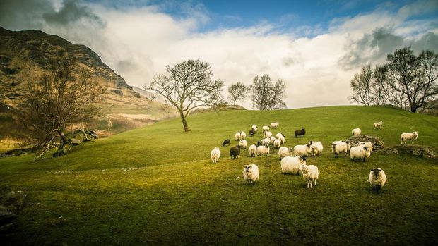 Gleninchaquin di Kenmare, Ireland.