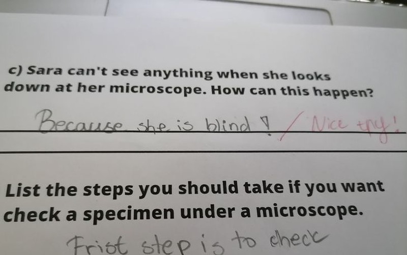 Ketika kesulitan dalam mengerjakan soal Bahasa Inggris, mereka menolak untuk menyerah! Jawab saja dengan kreativitas.