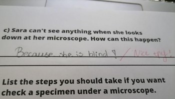 Rada gelap. Foto: via Bored Panda