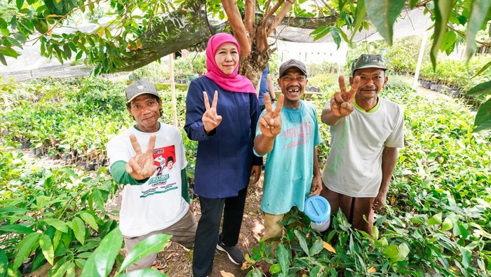 Khofifah sambangi usaha bibit tanaman buah di Nganjuk