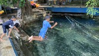 Destinasi ini menawarkan kolam alami yang jernih dengan air dingin yang langsung bersumber dari pegunungan sekitar. 
