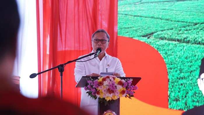 Menteri Koordinator Bidang Pangan Zulkifli Hasan (Zulhas) menyampaikan apresiasi tinggi kepada Menteri Pertanian (Mentan) Andi Amran Sulaiman atas kerja kerasnya dalam upaya mewujudkan swasembada pangan Indonesia.