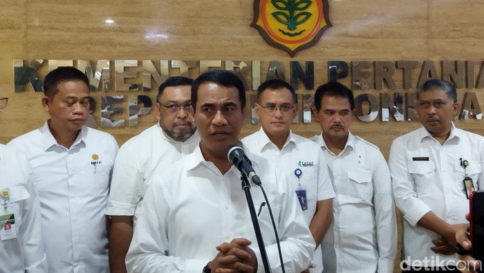 Menteri Pertanian (Mentan) Amran Sulaiman (Fadil/detikcom)