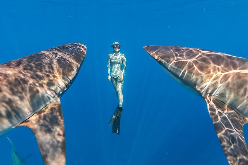 Nature's Best Photography (NBP) International Awards
