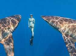 Karya Jawara Foto Alam Abdaikan Aksi Unik Para Hewan Bikin Terkesima