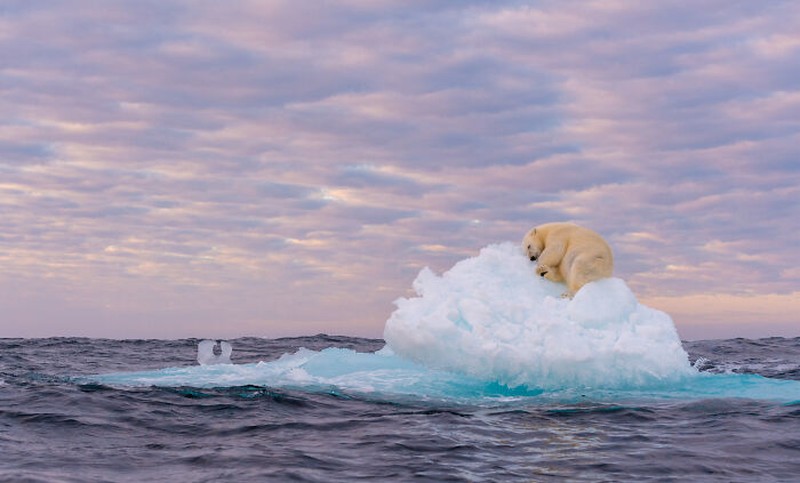 Nature's Best Photography (NBP) International Awards