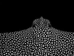 Karya Jawara Foto Alam Abdaikan Aksi Unik Para Hewan Bikin Terkesima