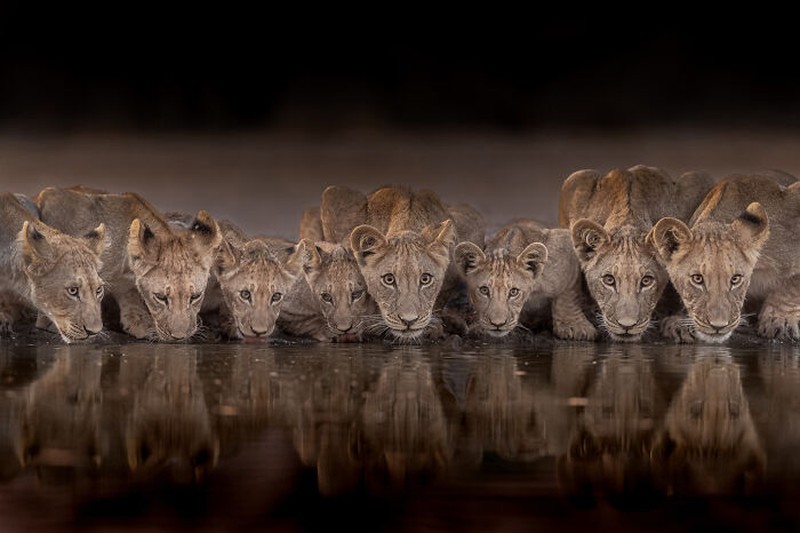 Nature's Best Photography (NBP) International Awards