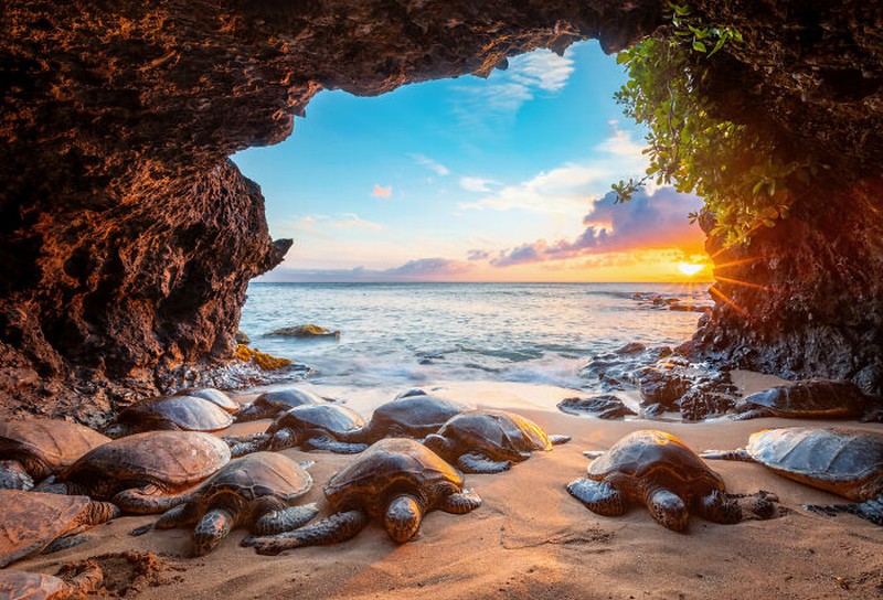 Nature's Best Photography (NBP) International Awards
