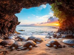 Karya Jawara Foto Alam Abdaikan Aksi Unik Para Hewan Bikin Terkesima