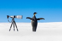 Natures Best Photography (NBP) International Awards