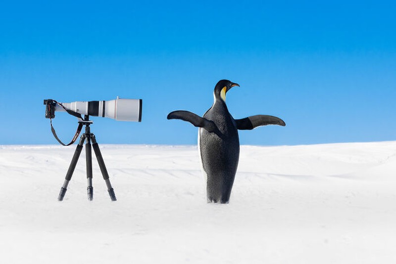 Nature's Best Photography (NBP) International Awards