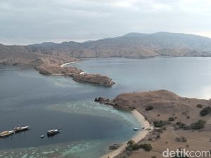 Kunjungan Wisatawan ke TN Komodo Dibatasi 365 Ribu Orang per Tahun