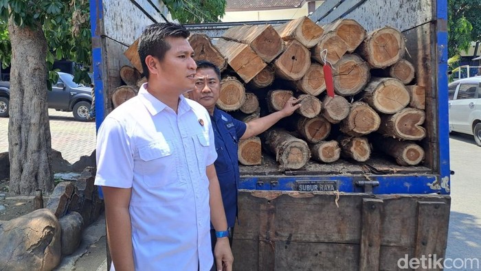 pembalakan liar di jombang