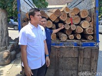 Gerebek Pembalakan Liar di Jombang, Polisi Sita 70 Gelondong Kayu Jati