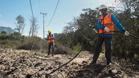 Sejumlah petugas PLN memperbaiki jaringan listrik yang putus akibat erupsi Gunung Lewotobi Laki-laki di Desa Klatanlo, Wulanggitang, Kabupaten Flores Timur, Nusa Tenggara Timur, Rabu (6/11/2024).