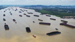 Potret Lalu Lintas Tongkang Batu Bara di Sungai Mahakam Samarinda