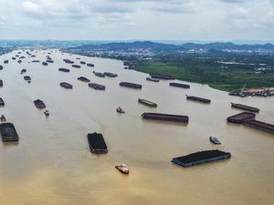 Potret Lalu Lintas Tongkang Batu Bara di Sungai Mahakam Samarinda