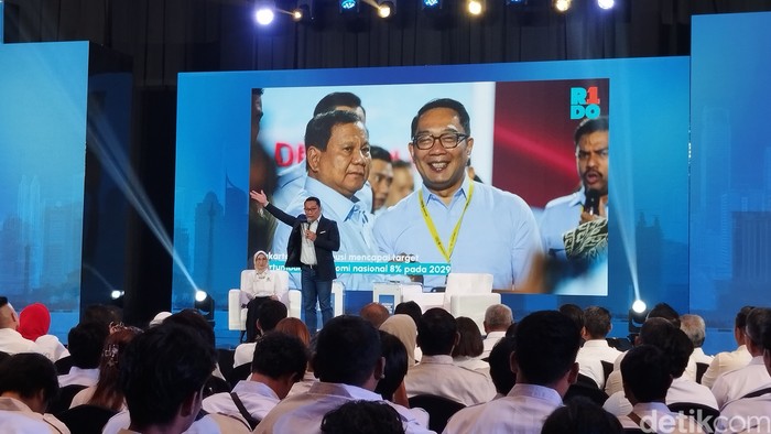 Ridwan Kamil (Maulana Ihami Fawdi/detikcom)