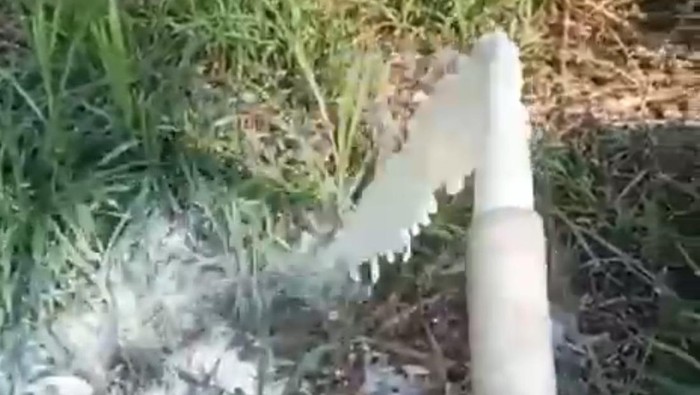 susu dibuang di pasuruan