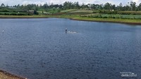 Pemandangan danau yang indah.
