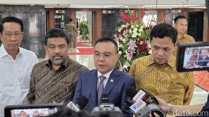 Wakil Ketua DPR Dasco. (Firda Cynthia Anggrainy/detikcom).