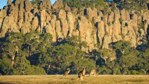 5 Wisata Alam Spektakular di Dekat Melbourne