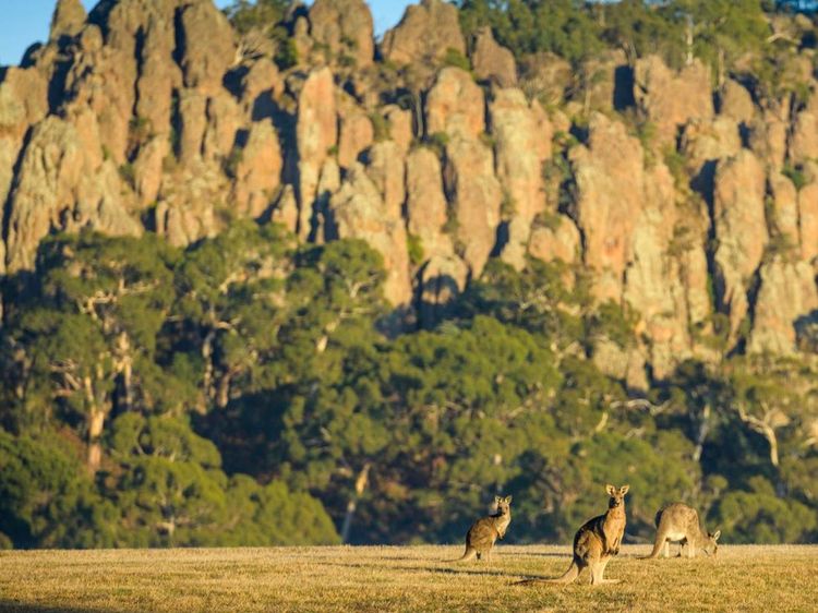 5 Wisata Alam Spektakular di Dekat Melbourne
