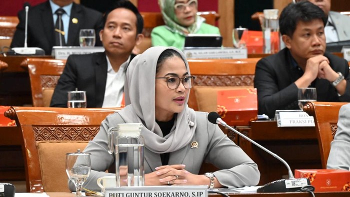 Anggota DPR Puti Guntur