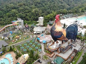 Bisa-bisanya Pria Ini Bangun Hotel Bentuknya Ayam Jago Raksasa