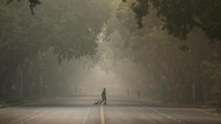 Di India, kualitas udara di Delhi mencapai tingkat kualitas udara berbahaya di atas 500 pada hari Sabtu dan Minggu. Hal ini diperparah karena sebagian orang-orang mengabaikan larangan kembang api setempat saat mereka merayakan Diwali.