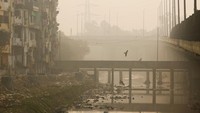 Polusi di India dan Pakistan meningkat setiap musim dingin, ketika kabut kuning menyelimuti langit akibat kombinasi pembakaran limbah pertanian oleh petani, pembangkit listrik tenaga batu bara, lalu lintas, dan hari-hari tanpa angin.