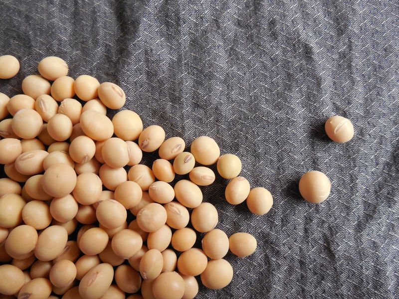 Kacang kedelai