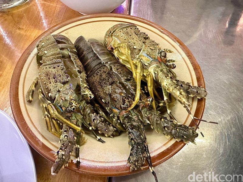 Kampung Lobster Desa Bangsring, Banyuwangi