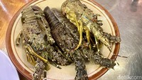 Jenis lobster yang dibudi daya di sini adalah lobster pasir dan dan lobster mutiara. Ekspornya sampai ke Taiwan dan China.