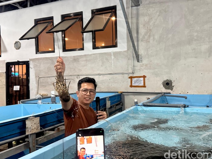 Kampung Lobster Desa Bangsring, Banyuwangi