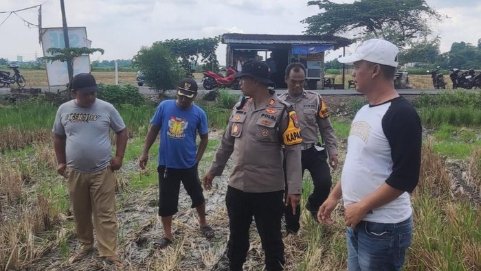 Kapolsek Balongbendo AKP Sugeng meninjau lahan di Desa Penambangan dan Desa Seketi