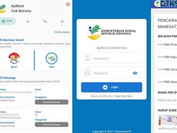 Cek NIK KTP Penerima Bansos Terbaru di Aplikasi Cek Bansos