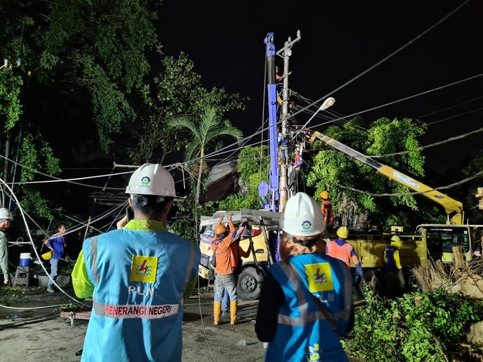 Petugas PLN memperbaiki jaringan listrik.